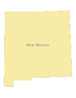 New Mexico Outline