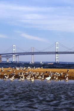 The Chesapeake Bay Bridge, Maryland